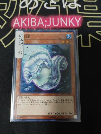 White Moray CP17-JP018 Yugioh OCG JAPAN