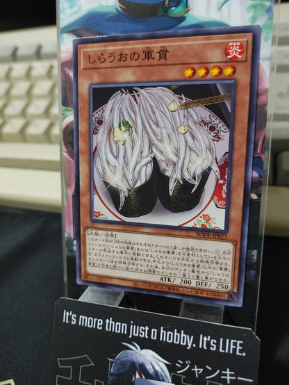 Icefish Suship BODE-JP023 Yugioh OCG JAPAN