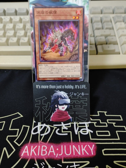 Indomitable Beast Servant BODE-JP033 Yu-Gi-Oh Yugioh OCG Konami JAPAN