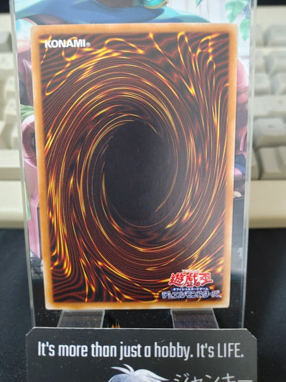 Tindangle Dholes 20PP-JP006 Yu-Gi-Oh Yugioh OCG Konami JAPAN