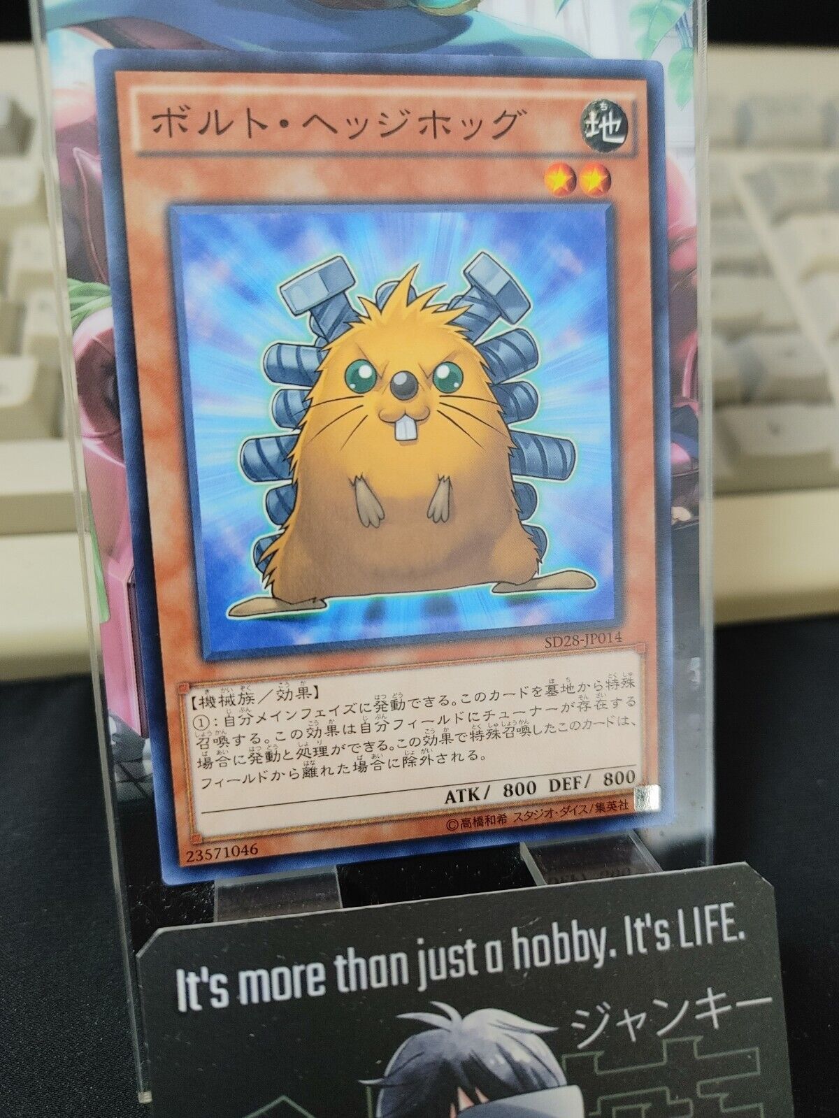 Quillbolt Hedgehog SD28-JP014 Yu-Gi-Oh Yugioh OCG Konami JAPAN
