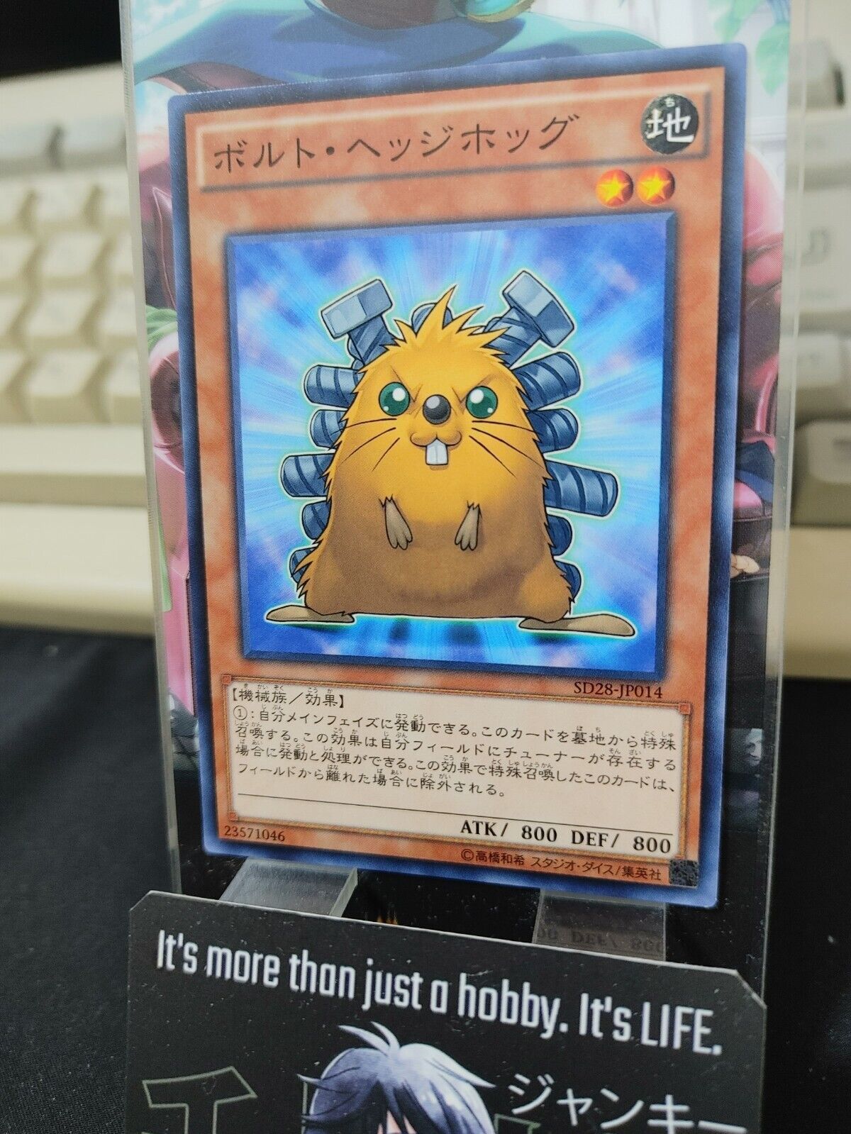 Quillbolt Hedgehog SD28-JP014 Yu-Gi-Oh Yugioh OCG Konami JAPAN
