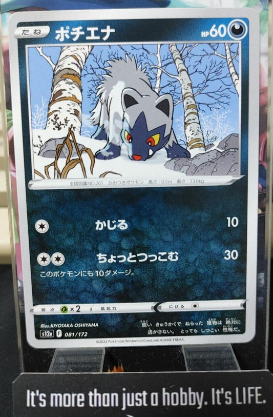Pokemon Poochyena s12a 081/172 Card Japanese JAPAN Releasae