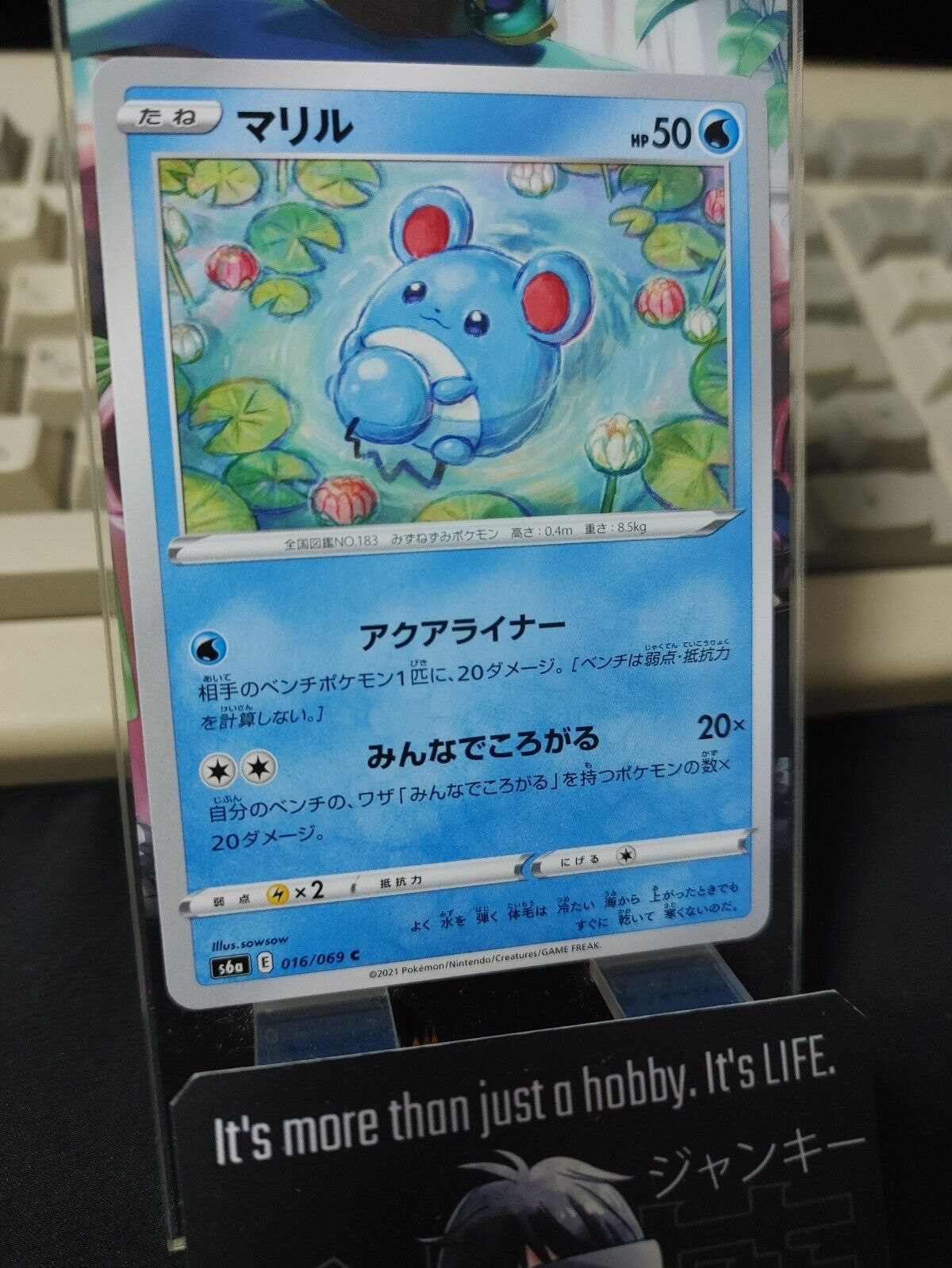 Pokemon Marill S6a 016/069 Card Japanese JAPAN Release