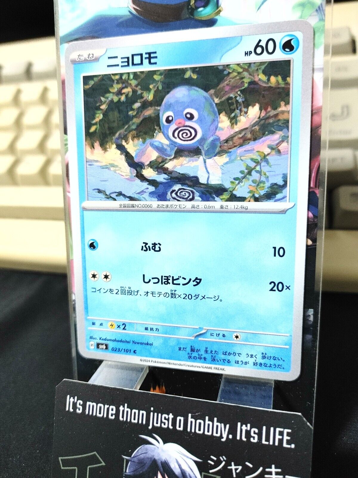 Pokemon Poliwag SV6 023/101 Card Japanese JAPAN Release