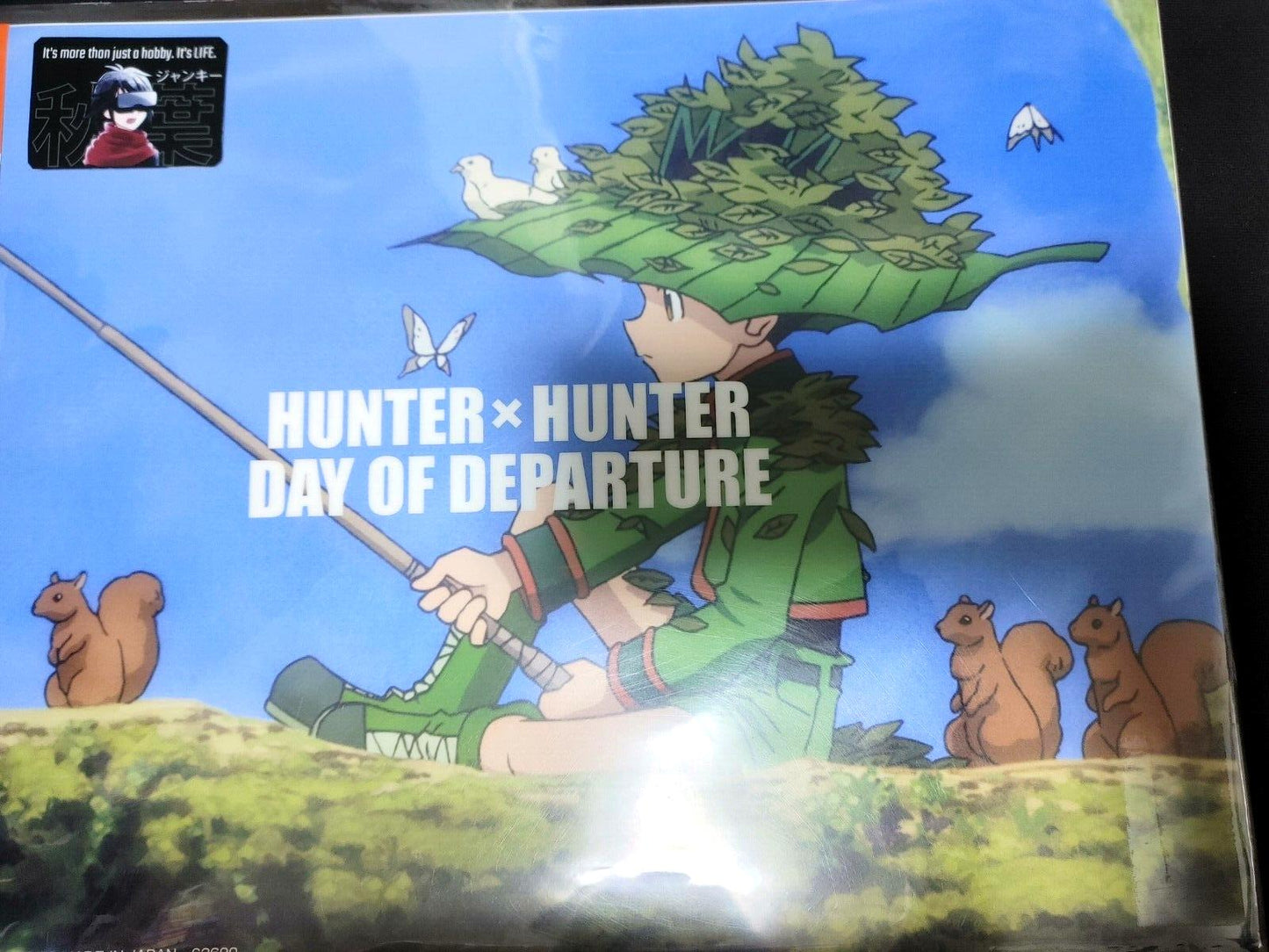 Hunter X Hunter Anime Clear Poster JAPAN Release