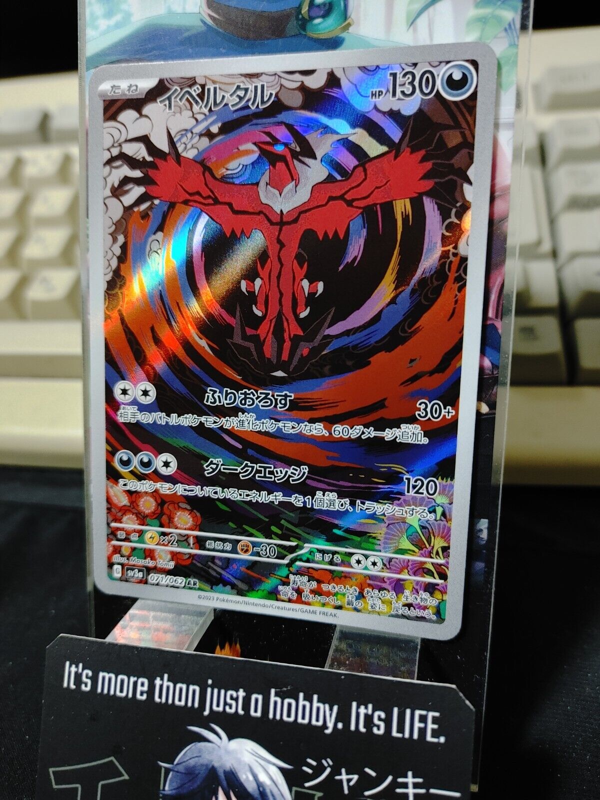 Pokemon Yveltal SV3a 071/062 AR Holo Card Japanese JAPAN Release