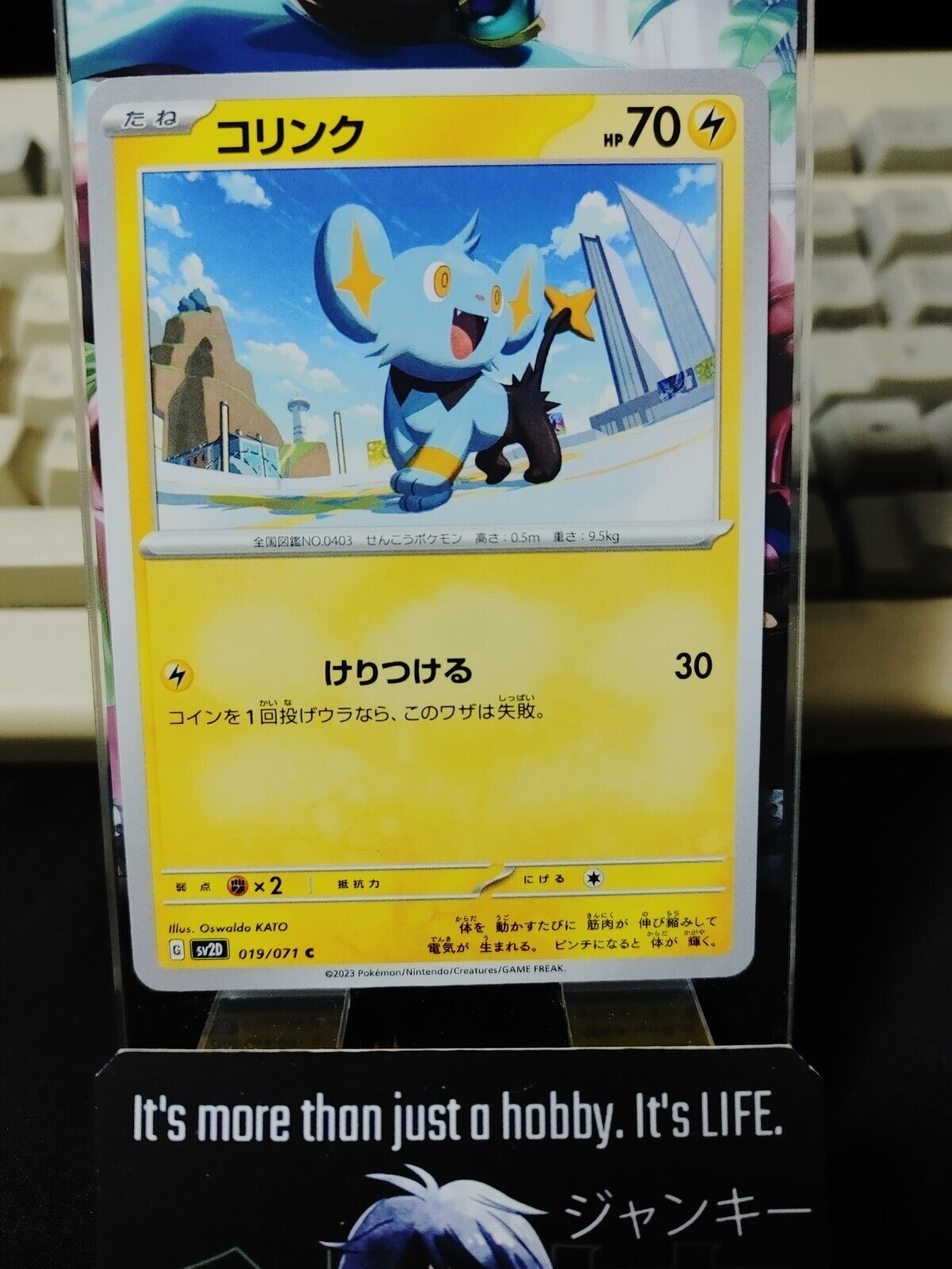 Pokemon Shinx SV2d 019/071 Card Japanese JAPAN Release