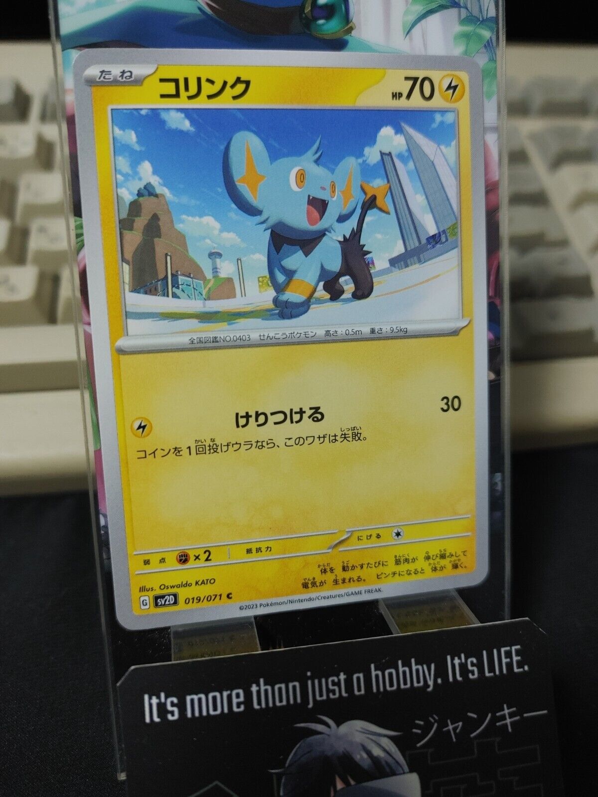 Pokemon Shinx SV2d 019/071 Card Japanese JAPAN Release