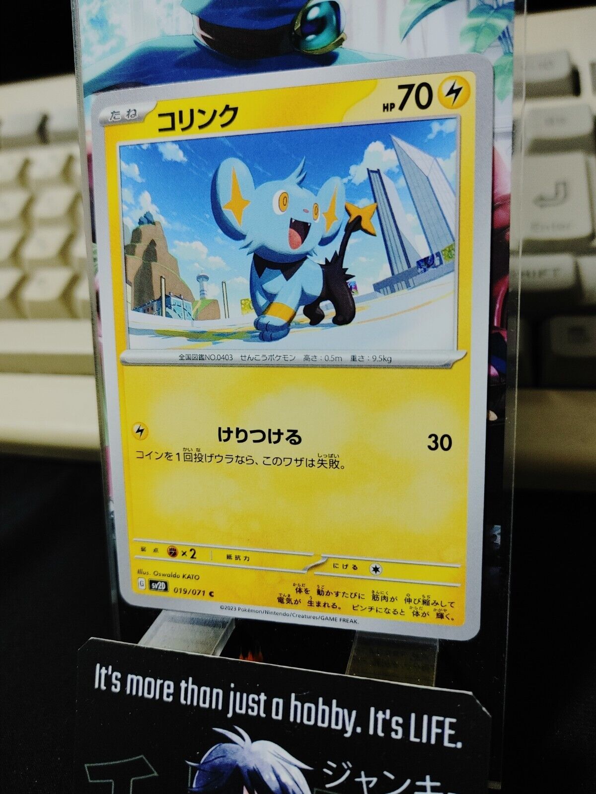 Pokemon Shinx SV2d 019/071 Card Japanese JAPAN Release