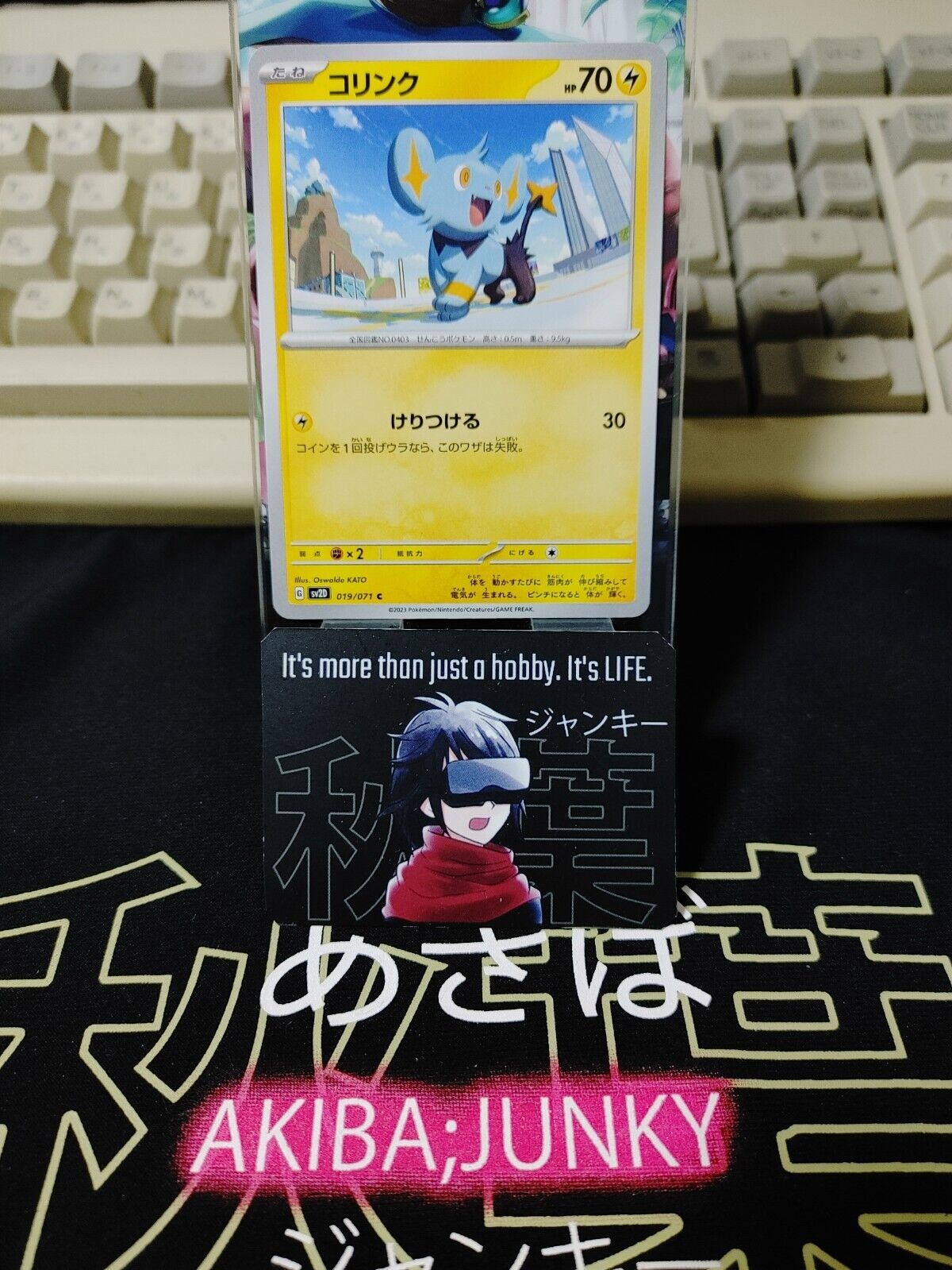 Pokemon Shinx SV2d 019/071 Card Japanese JAPAN Release