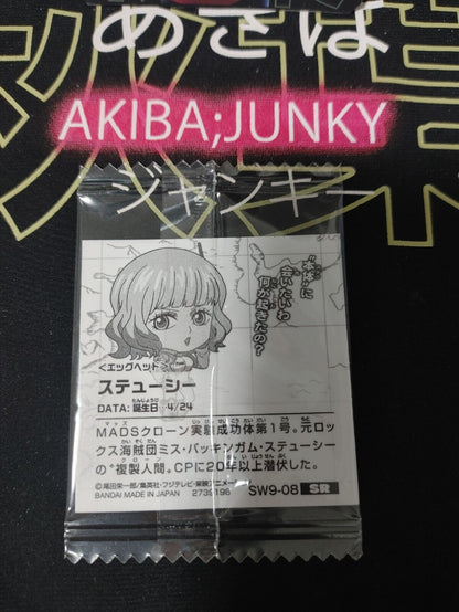 One Piece Anime Stussy Sticker Seal Card SW9-08 SR Collectible JAPAN