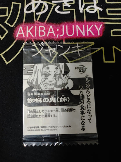 Demon Slayer Kimetsu no Yaiba Spider Demon 1-17 Collection Sticker Card JAPAN
