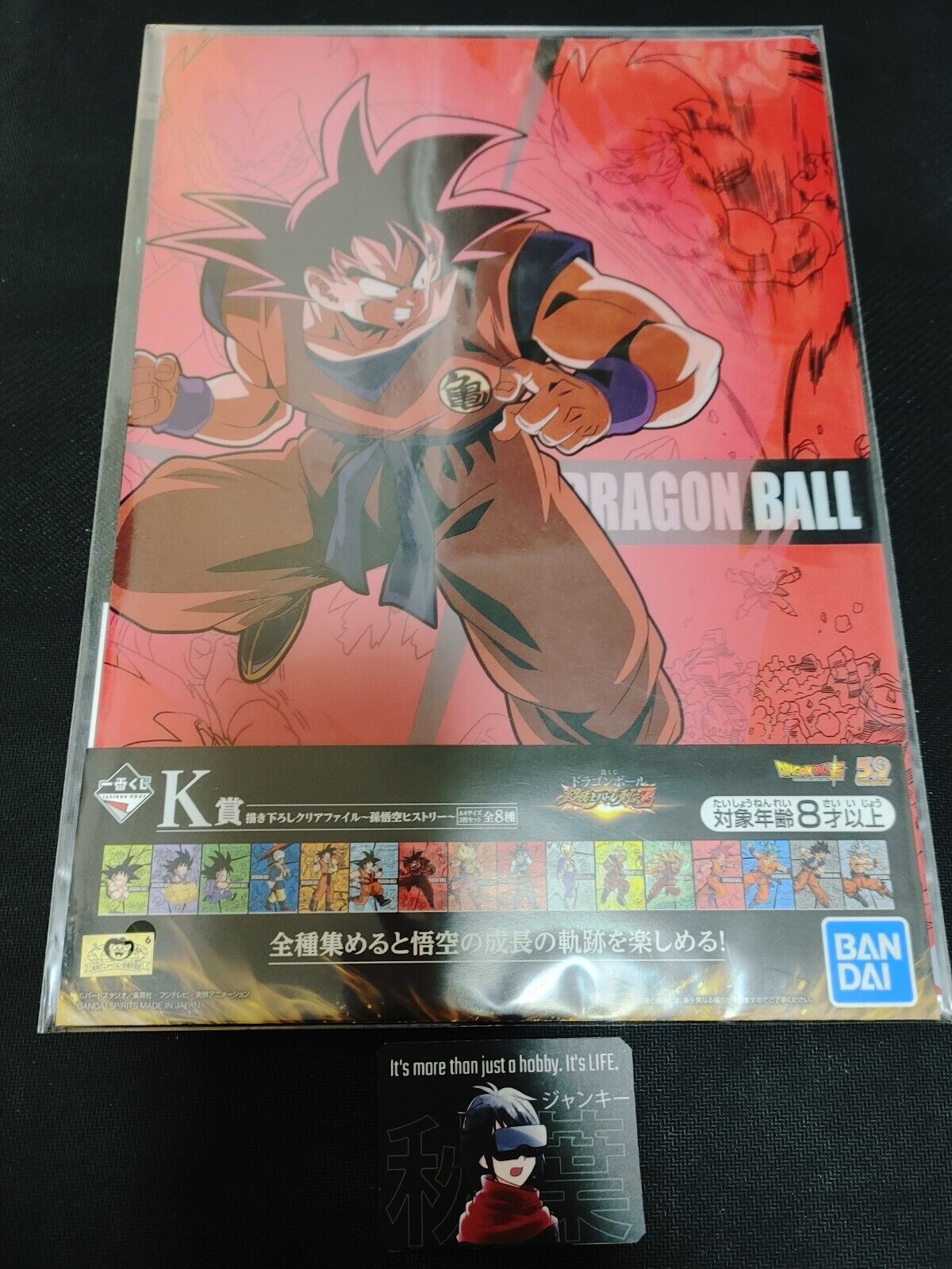 Anime Dragon Ball Graphic Design Clear File Bulma Goku Japan Limited