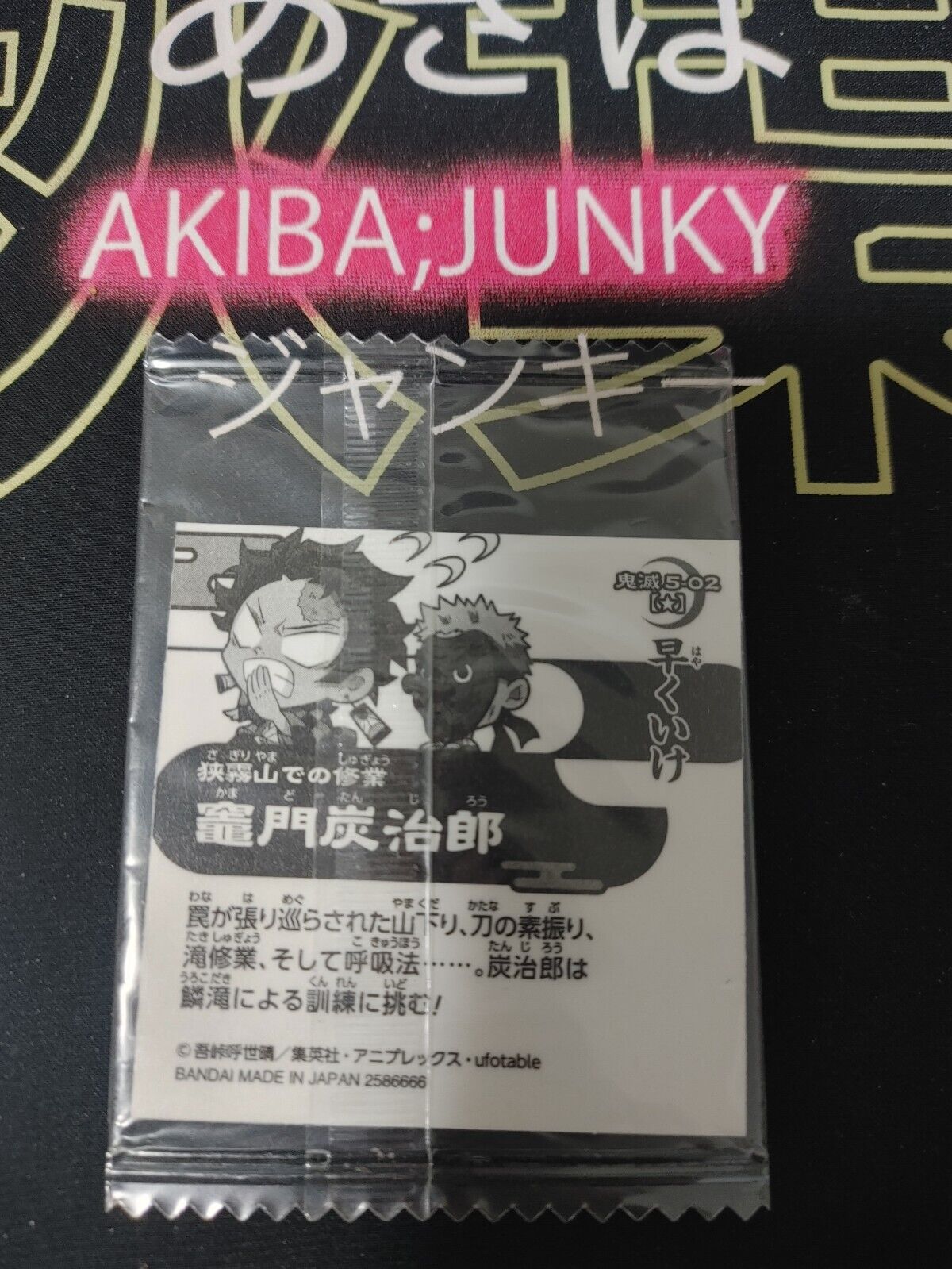 Demon Slayer Kimetsu no Yaiba Tanjiro 5-02 Collection Sticker Card JAPAN Release