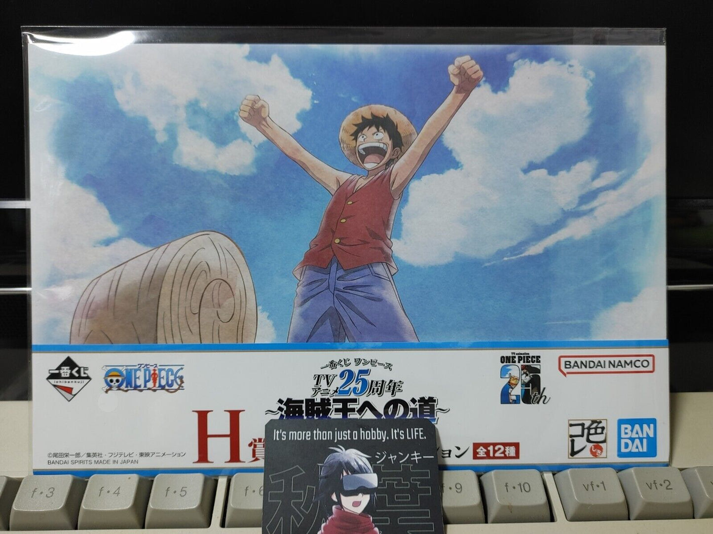 One Piece Animation Cel Print Style Scene Board 25th Luffy Japan Limited