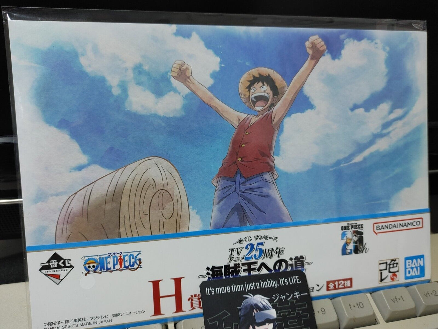 One Piece Animation Cel Print Style Scene Board 25th Luffy Japan Limited