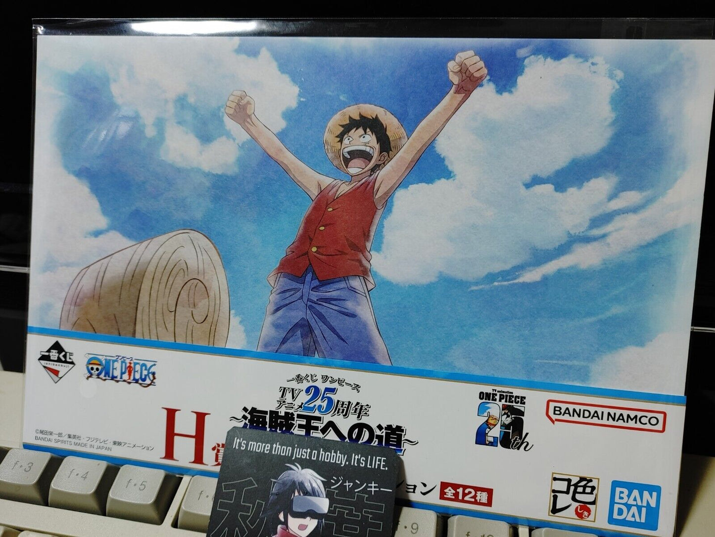 One Piece Animation Cel Print Style Scene Board 25th Luffy Japan Limited