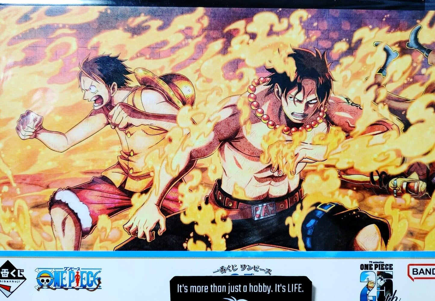 One Piece Animation Cel Print Style Scene Board 25th Luffy Ace Japan Limited