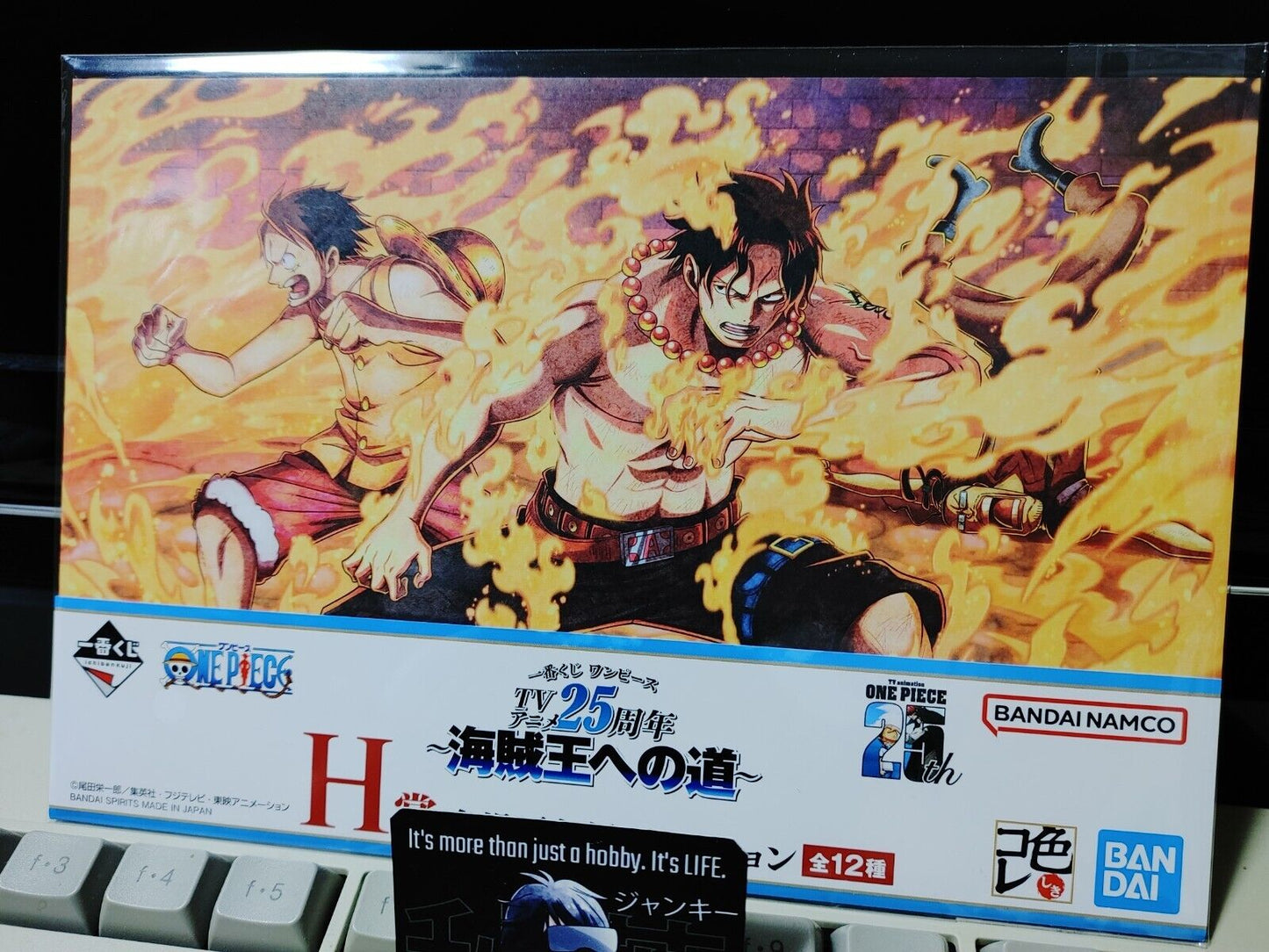 One Piece Animation Cel Print Style Scene Board 25th Luffy Ace Japan Limited