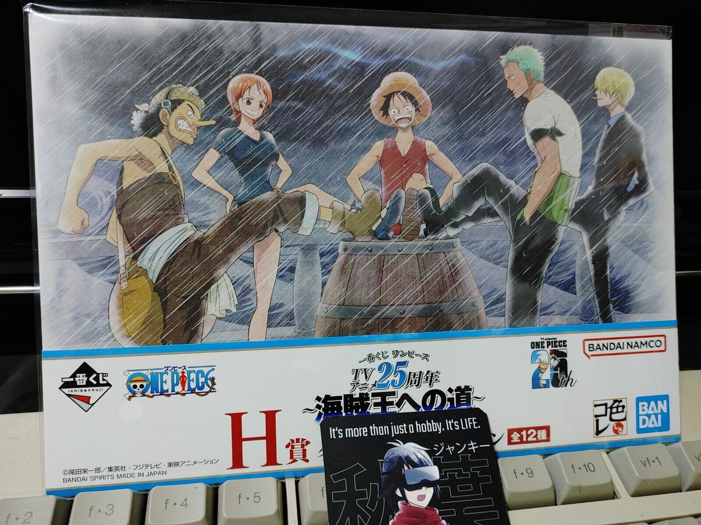 One Piece Animation Cel Print Style Scene Board Panel Decoration Crew A JAPAN
