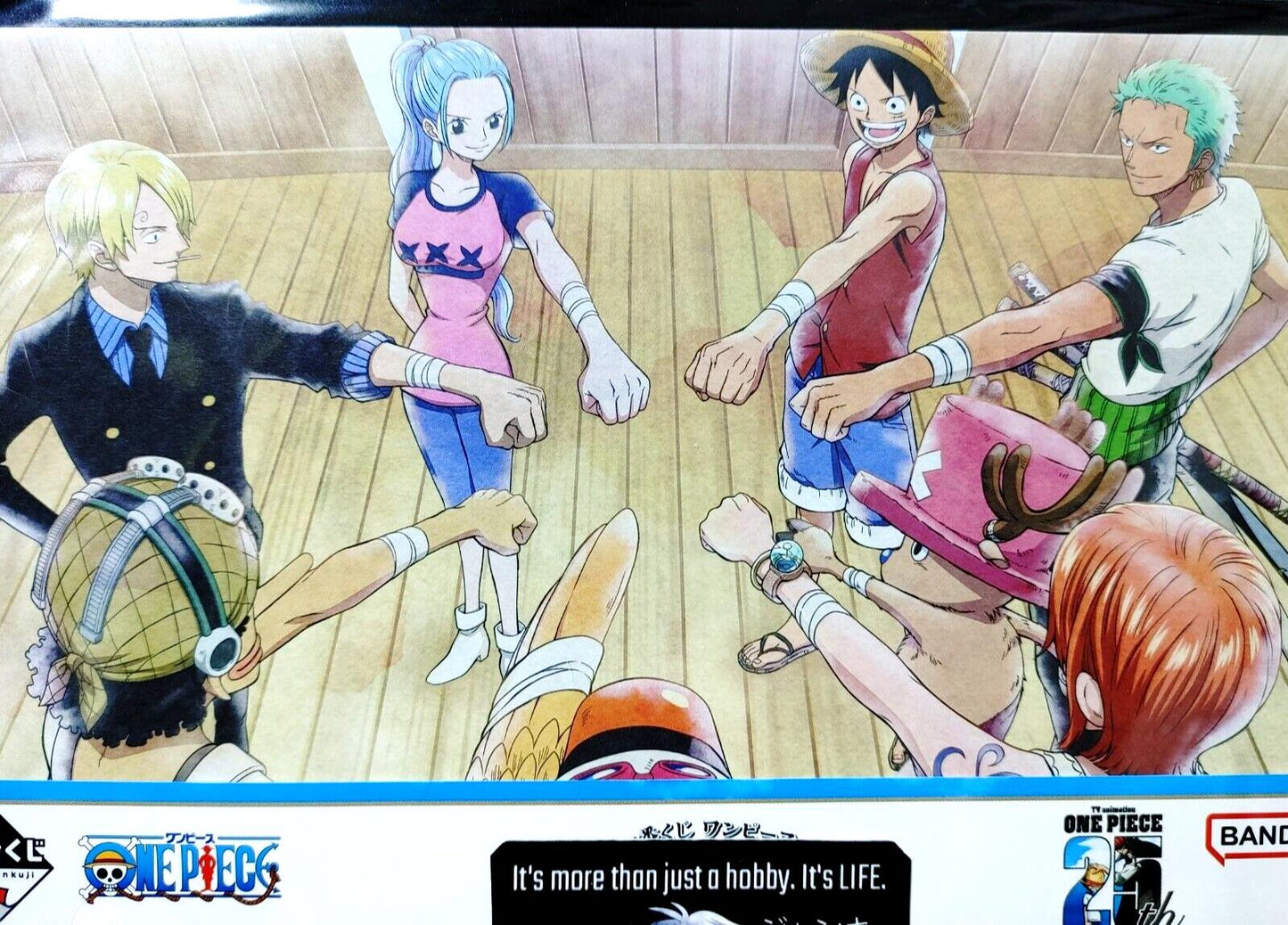 One Piece Animation Cel Print Style Scene Board 25th Luffy Crew B Japan Limited