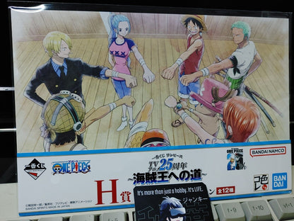 One Piece Animation Cel Print Style Scene Board 25th Luffy Crew B Japan Limited