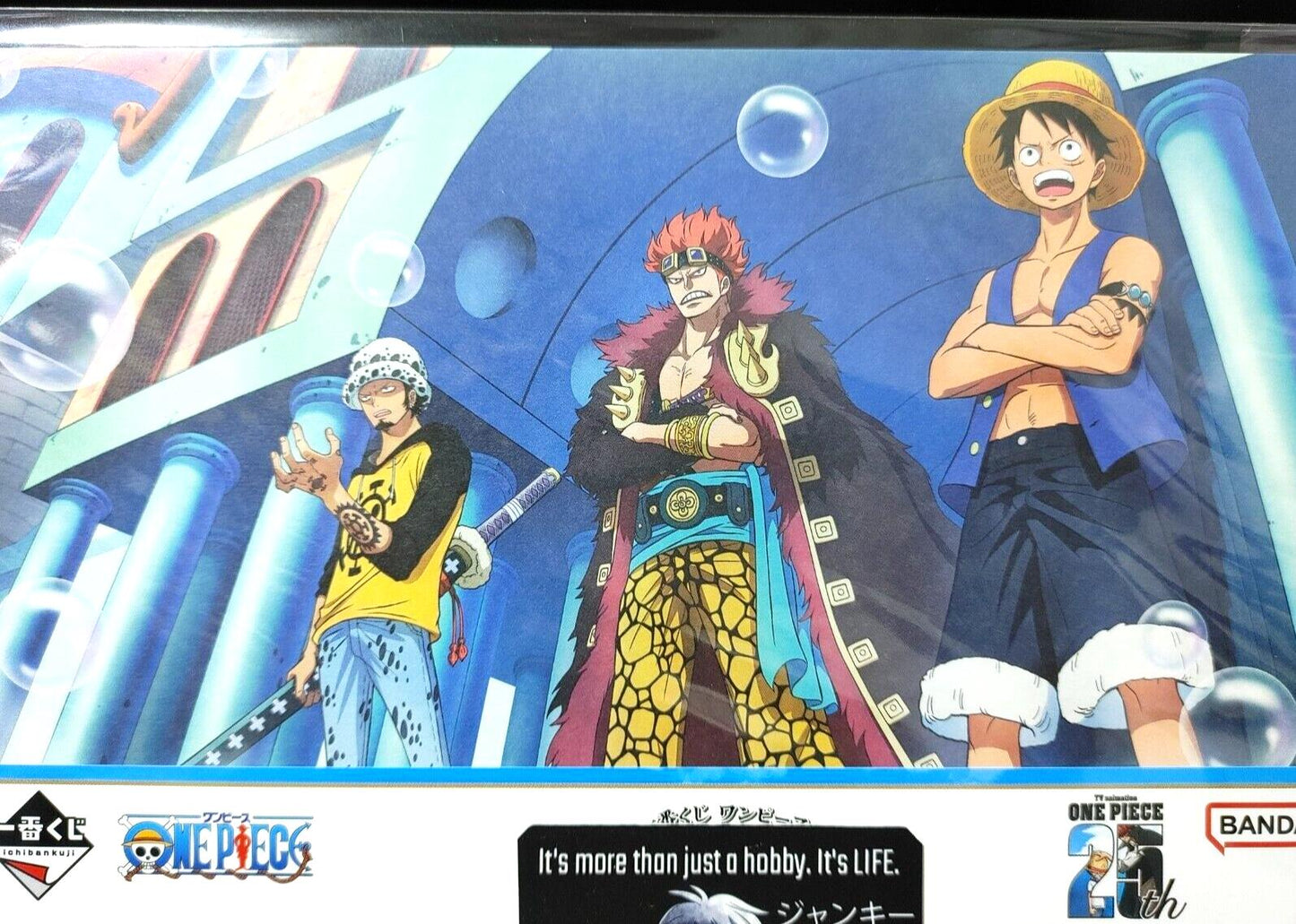 One Piece Animation Cel Print Style Scene Board 25th Luffy D Japan Limited