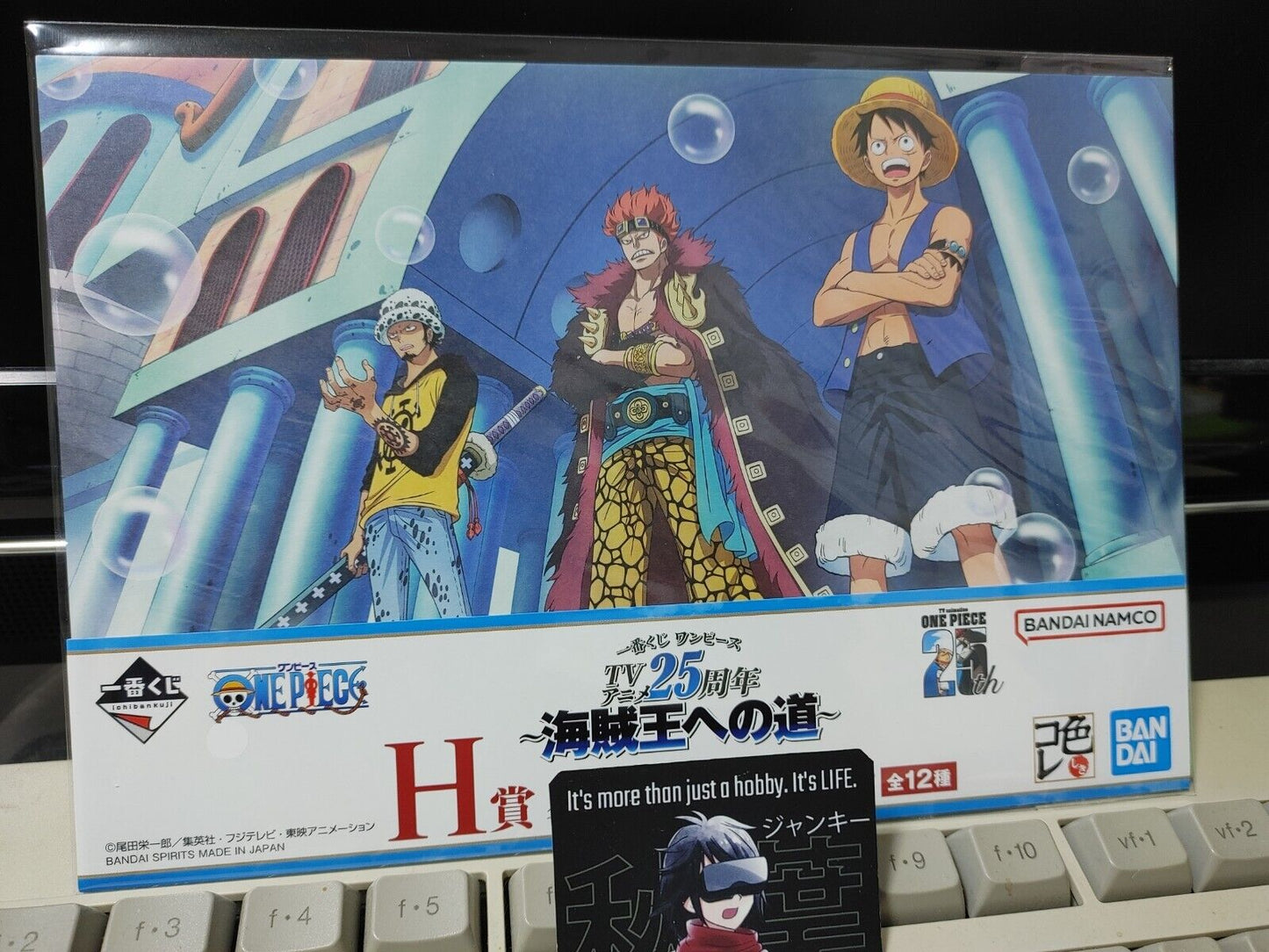 One Piece Animation Cel Print Style Scene Board 25th Luffy D Japan Limited