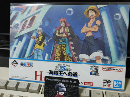 One Piece Animation Cel Print Style Scene Board 25th Luffy D Japan Limited