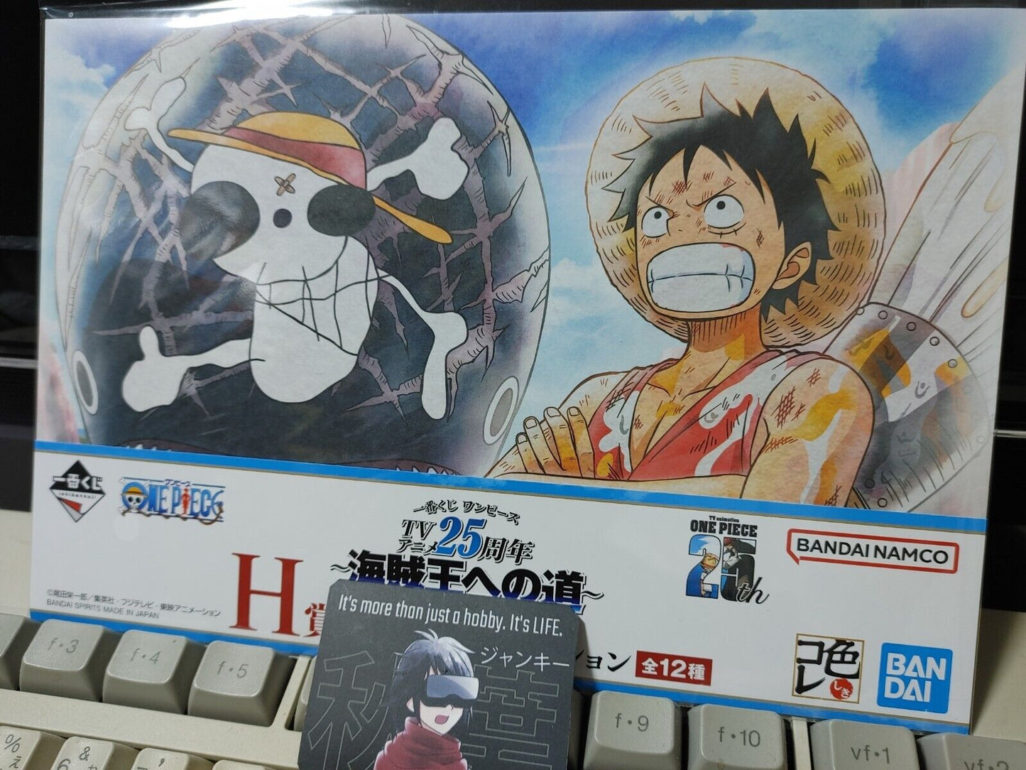 One Piece Animation Cel Print Style Scene Board 25th Luffy E Japan Limited