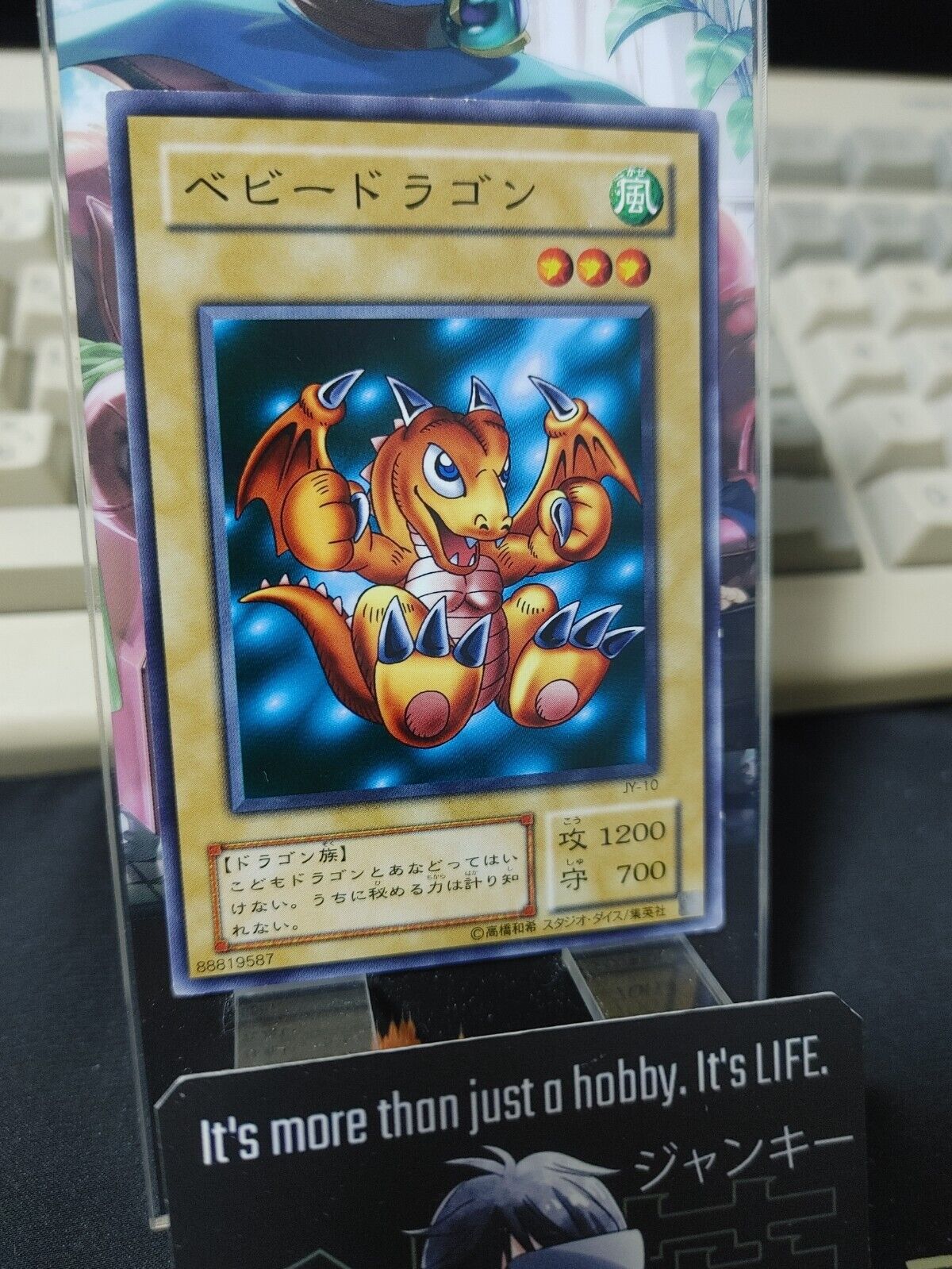 Baby Dragon JY-10 Yugioh OCG JAPAN