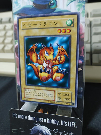 Baby Dragon JY-10 Yugioh OCG JAPAN