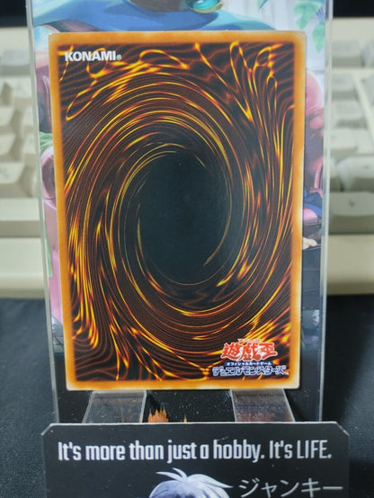 Turtle Bird Yu-Gi-Oh BC-33 Yugioh OCG JAPAN