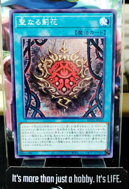 Sacred Azamina ROTA-JP053 Yugioh OCG JAPAN ★AKIBA JUNKY SELECT PRODUCT★