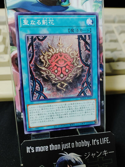 Sacred Azamina ROTA-JP053 Yugioh OCG JAPAN ★AKIBA JUNKY SELECT PRODUCT★