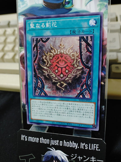 Sacred Azamina ROTA-JP053 Yugioh OCG JAPAN ★AKIBA JUNKY SELECT PRODUCT★