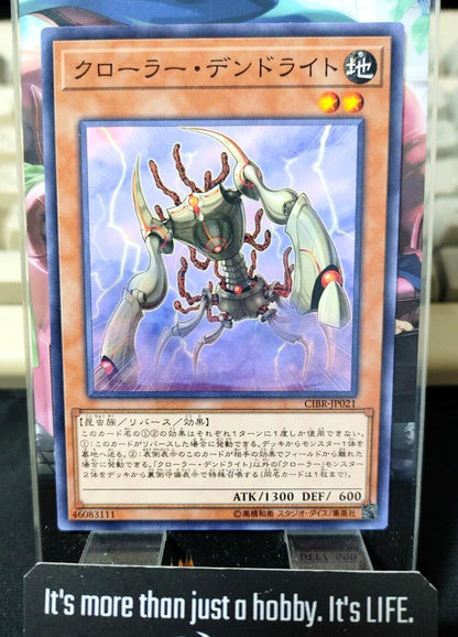 Krawler Dendrite CIBR-JP021 Yugioh OCG JAPAN ★AKIBA JUNKY SELECT PRODUCT★