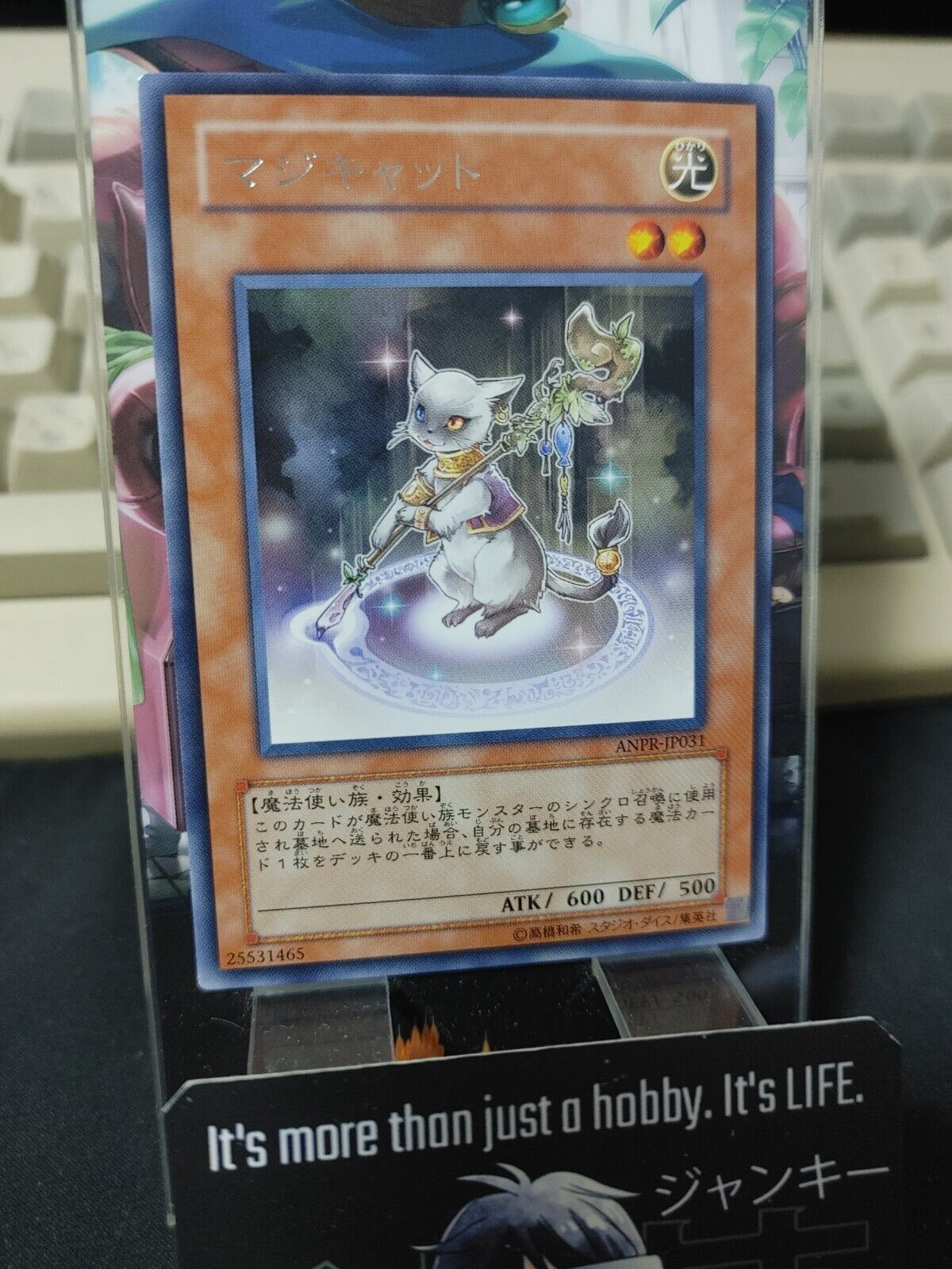 Magicat ANPR-JP031 Rare Yu-Gi-Oh Yugioh Japanese OCG JAPAN