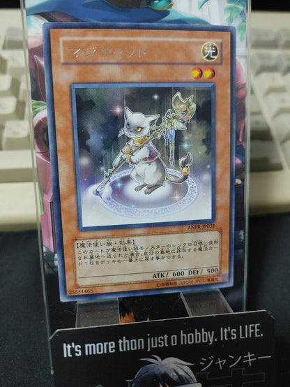 Magicat ANPR-JP031 Rare Yu-Gi-Oh Yugioh Japanese OCG JAPAN