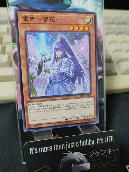 Denko Sekka SD39-JP019 Yugioh OCG Yu-Gi-Oh JAPAN