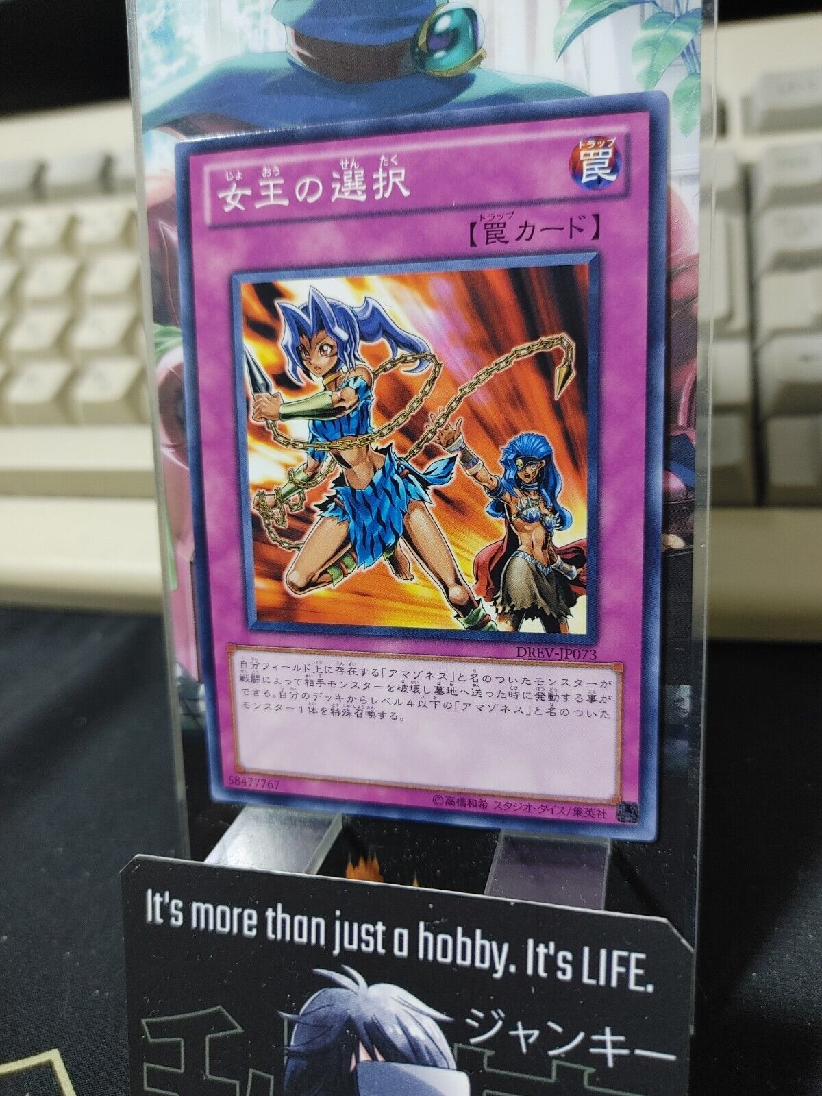 Queen's Pawn DREV-JP073 Yugioh OCG JAPAN
