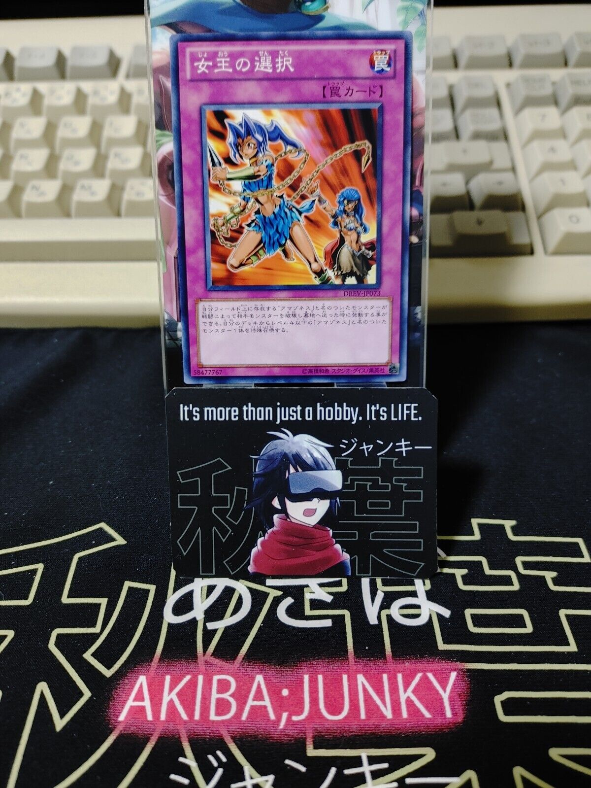 Queen's Pawn DREV-JP073 Yugioh OCG JAPAN