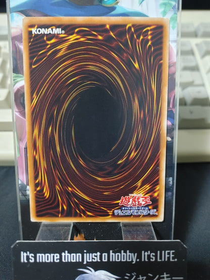 Vision HERO Adoration DBLE-JP044  Parallel Yugioh OCG  JAPAN