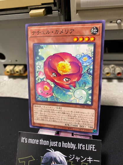 Naturia Camellia DABL-JP021  Yugioh OCG JAPAN