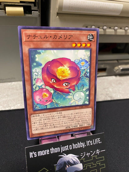 Naturia Camellia DABL-JP021  Yugioh OCG JAPAN