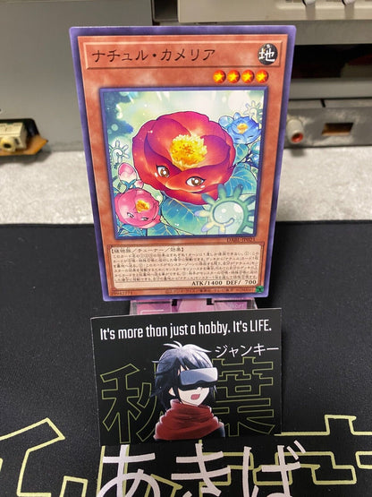 Naturia Camellia DABL-JP021  Yugioh OCG JAPAN