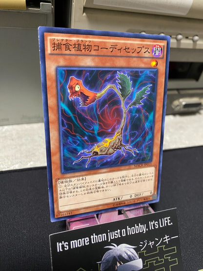 Predaplant Cordyceps MACR-JP011 Yugioh OCG JAPAN