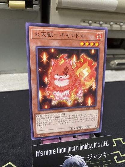Agnimal Candle DUNE-JP027 Yugioh OCG JAPAN