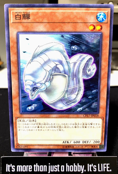 White Moray CP17-JP018 Yugioh OCG JAPAN